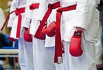 Karate: Intermediate kata competitors finish first round